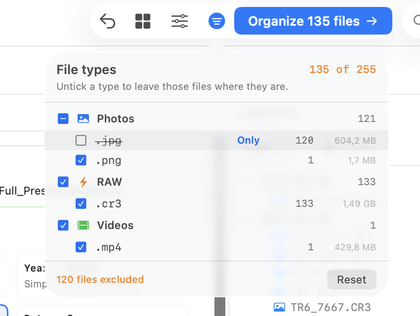 Close-up of the File types picker: Photos group partially ticked, .jpg struck through with an Only shortcut, .png, RAW and .cr3 ticked, footer reading 120 files excluded with a Reset button